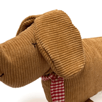 cachorro-frankie2b