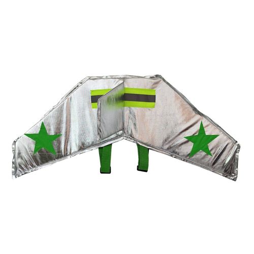 Asa Avião Prata e Verde
